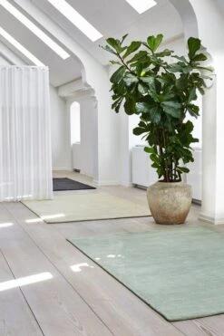 Massimo Copenhagen RePeat Rug, Pistachio 13 Massimo Copenhagen RePeat Rug, Pistachio -Fine Home Textiles Store 11 Massimo 110 final role